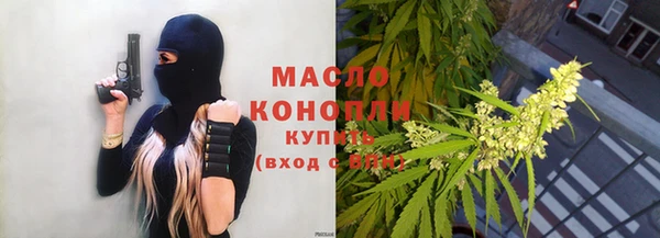 шишки Магас