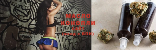 шишки Магас