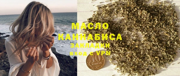 шишки Магас