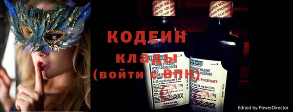 шишки Магас