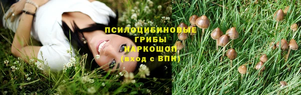шишки Магас
