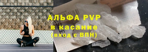 шишки Магас