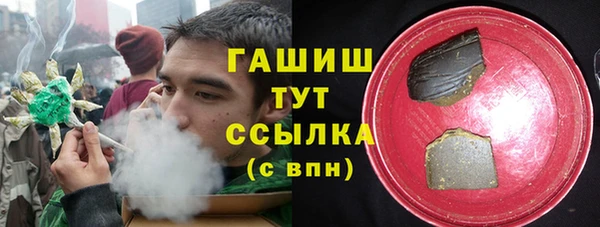 шишки Магас