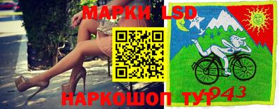 mdpv Гатчина