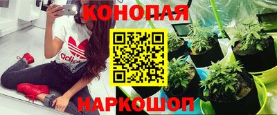 кокаин колумбия Гагарин