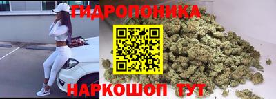 mdpv Гатчина