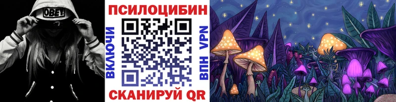 дарк нет наркотические препараты  Киров  Псилоцибиновые грибы мицелий 