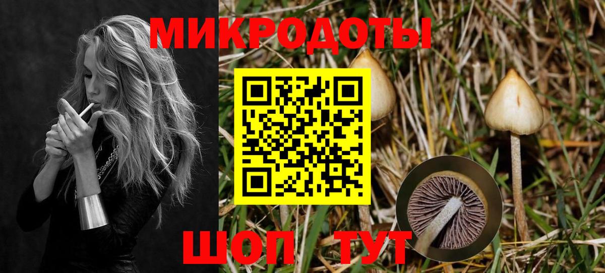 Киров  Галлюциногенные грибы мицелий  Вход с VPN  Псилоцибиновые грибы GOLDEN TEACHER 