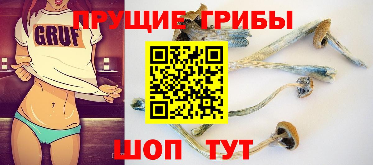Псилоцибиновые грибы GOLDEN TEACHER  Киров 